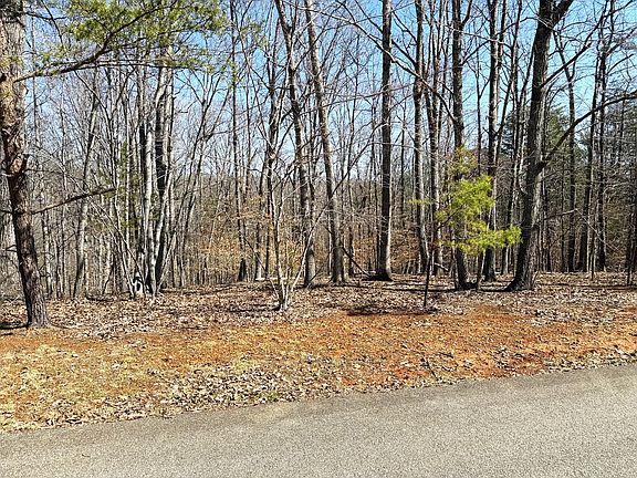 2nd image of LOT 19 Gap Bridge Rd