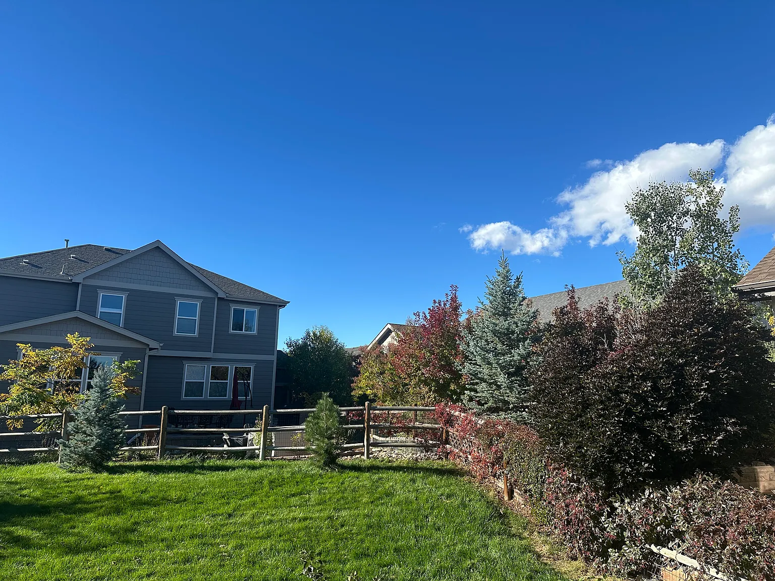 1 bed, 1200 sqft, $1,500 — Photo 2
