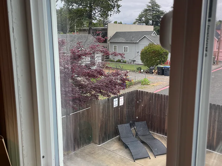view from the kitchen