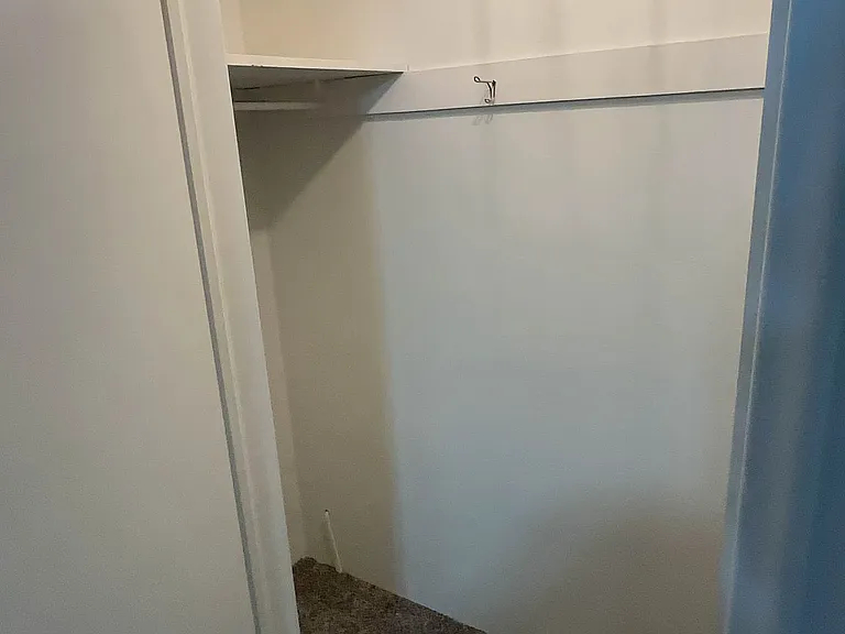 Basement bedroom 2 closet