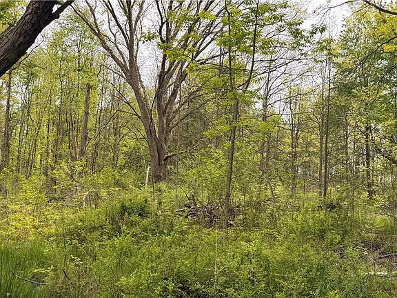 4th image of Youngstown Kingsville Rd NE