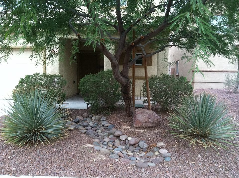 frond yard