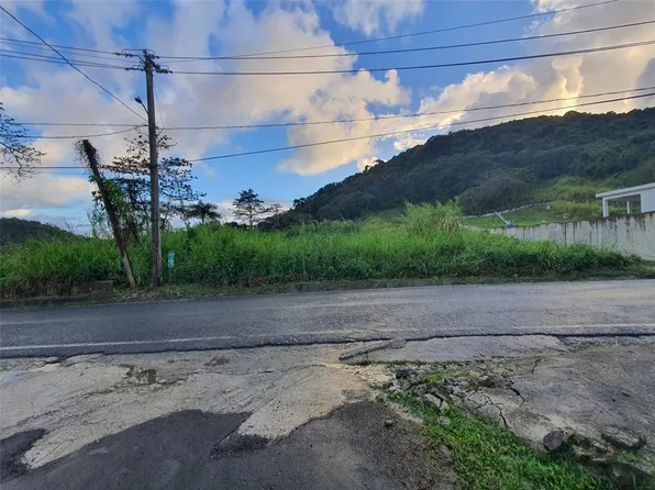 Carr #191, Naguabo, PR 00718