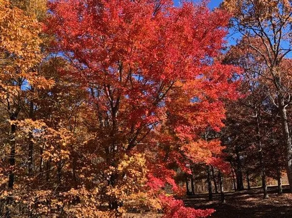 217 Daydream Dr #A, Dunlap, TN 37327