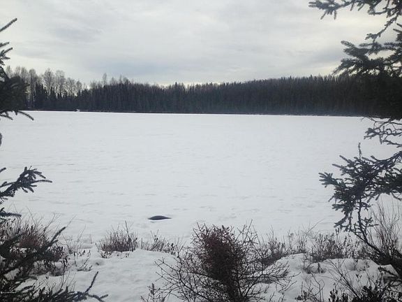 4th image of 4797 S Dollar Road