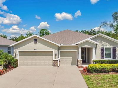 32176 Goddard Dr, Wesley Chapel, FL, 33543
