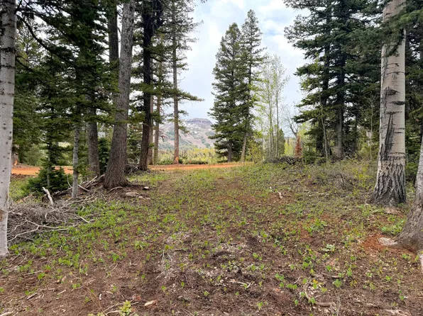 646 W Ski View Dr, Brian Head, UT 84719