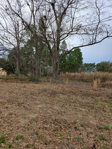 Lt 1 Blk E, Williston, SC, 29853