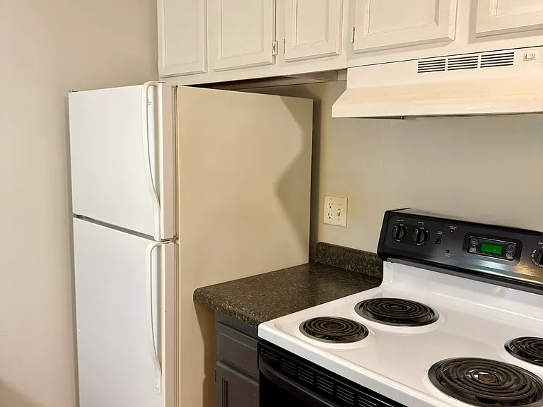 515 E Burlington St #3S — Photo 12