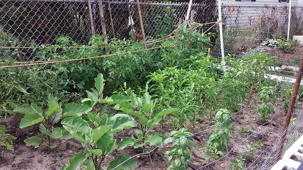 Property photo 5