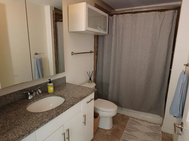 360 Nueces St #4008 — Photo 13