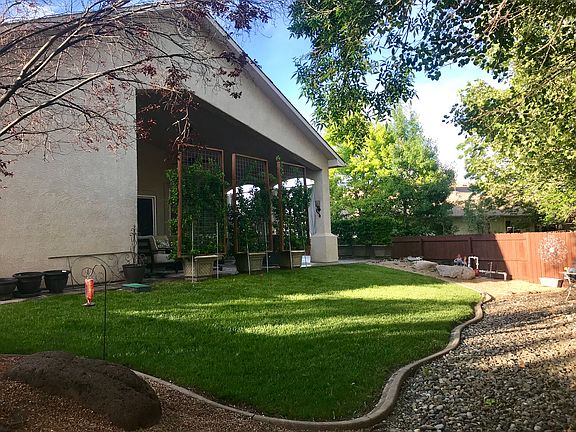 Low maintenance yard 
