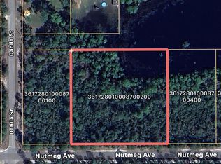Nutmeg Avenue Lot #2, Eustis, FL 32736
