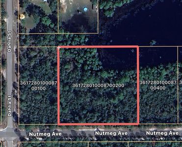 NUTMEG AVENUE LOT 2, Eustis, FL, 32736