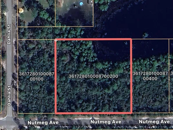 Nutmeg Avenue Lot #2, Eustis, FL 32736