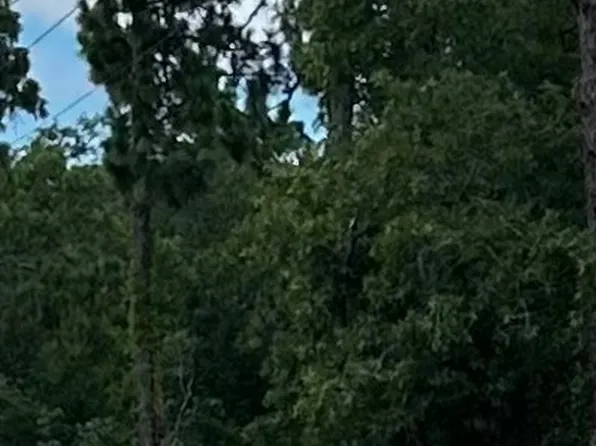 6239 W Oak Park Blvd, Homosassa, FL 34446