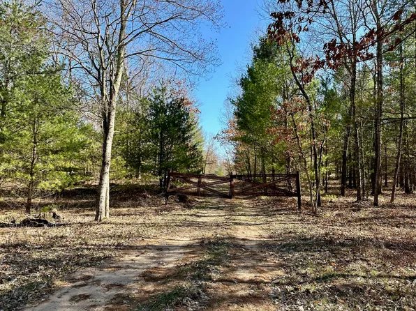 V/l E County Line Rd, Manistee, MI 49660