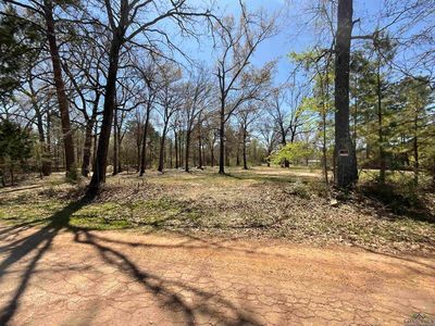 612 Ernest Dr, Marshall, TX, 75670