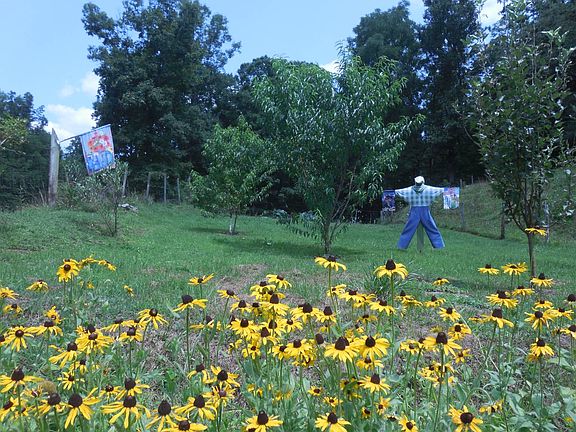 41st image of this home