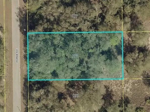 1908 Truman Ave, Lehigh Acres, FL 33972