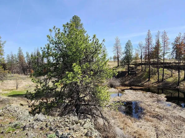 Telford South Rd Lot 7, Davenport, WA 99122