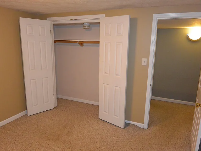 Lower level closet.