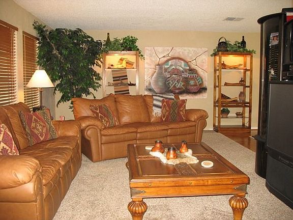 Living-room - new california shag carpet