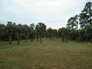 Cleared 1.25 Acres