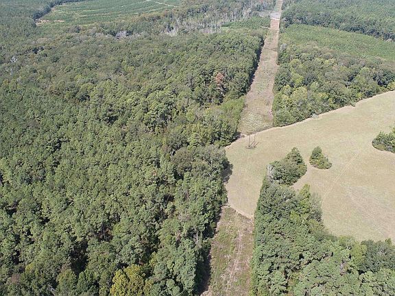 4th image of 1348 County Road 448