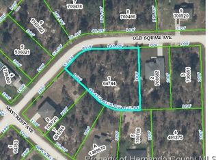 11330 Old Squaw Ave, Weeki Wachee, FL 34614