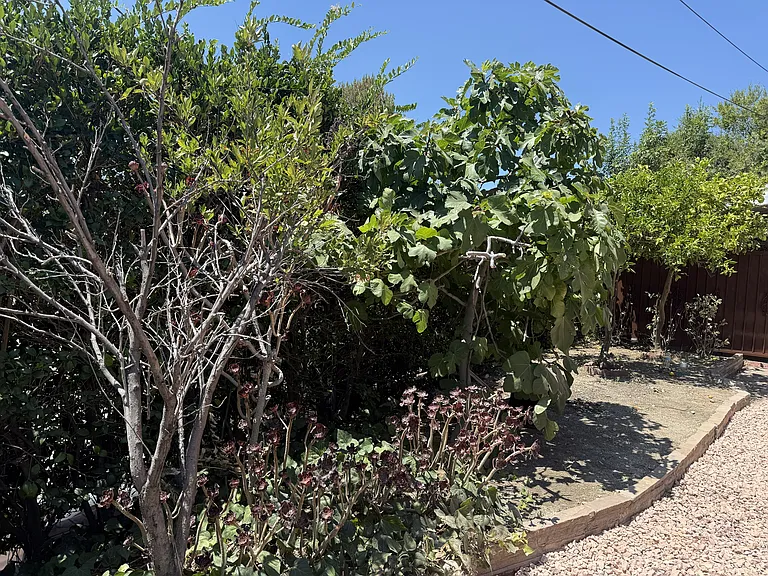 4623 Lowell Ave — Photo 8