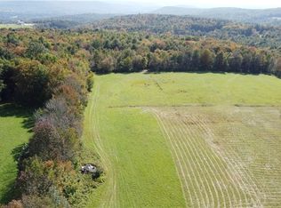 345 Merriman Hill Rd, Unadilla, NY 13849