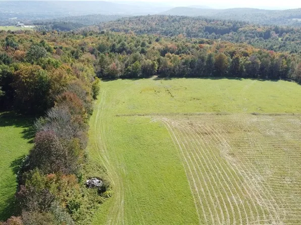 345 Merriman Hill Rd, Unadilla, NY 13849