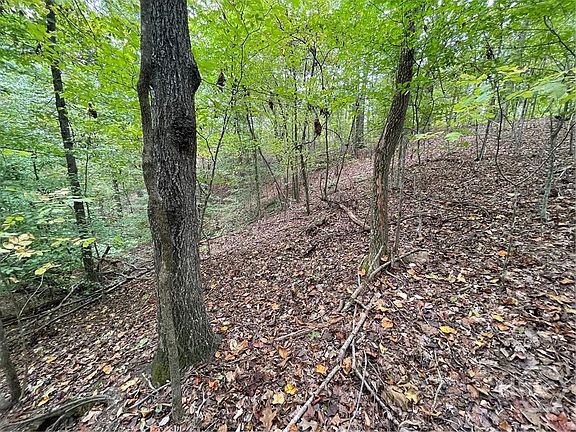 4th image of Lot 296 Oconee Avenue