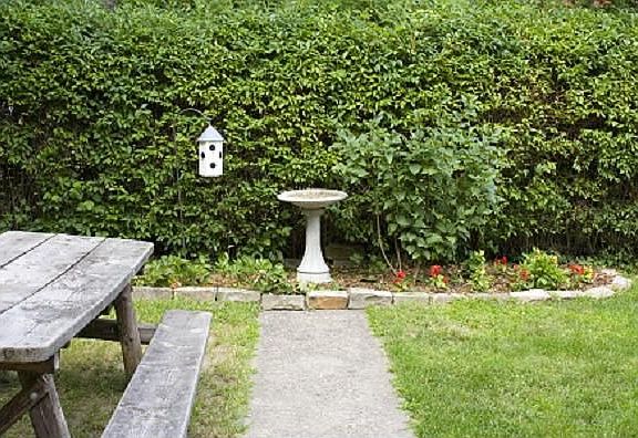 Lovely enclosed front/side yard with new landscaping