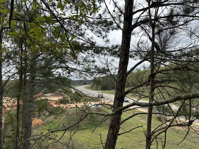 6103 E Lloyd Mill Rd, Red Level, AL, 36474