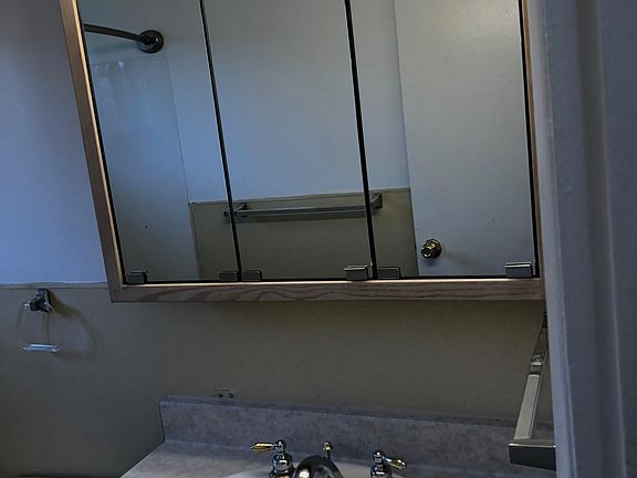 New vanity/medicine cabinet