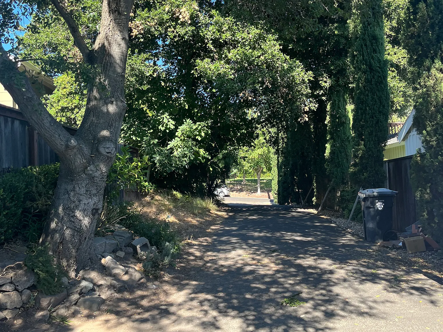 1101 Evans Ave — Photo 3