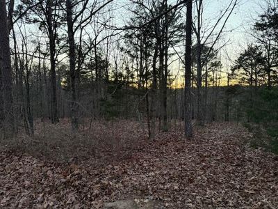 5 Red Oak St, Pleasant Plains, AR, 72568