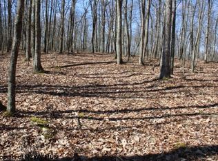 LOT 4 Sand Bank Rd, Masontown, WV 26542