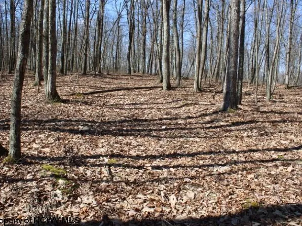 LOT 4 Sand Bank Rd, Masontown, WV 26542