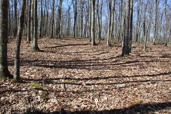 LOT 4 Sand Bank Rd photo 1