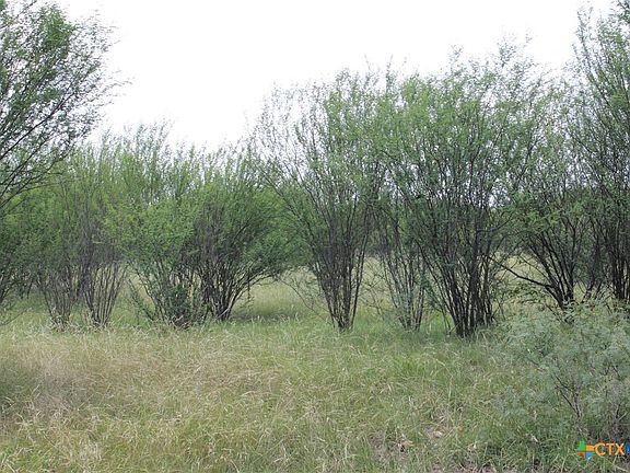 3rd image of 0 Fm 3353