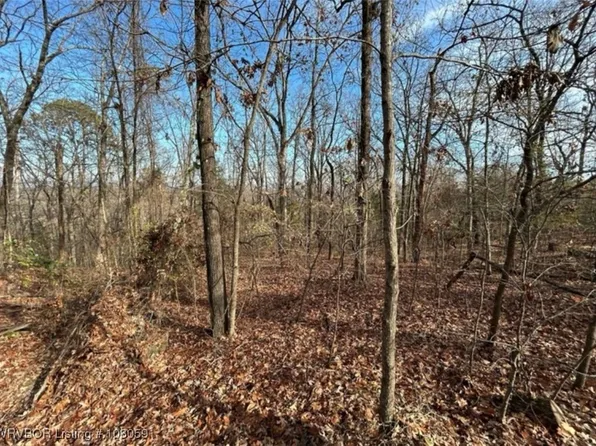 Red Oak Dr, Ozark, AR 72949