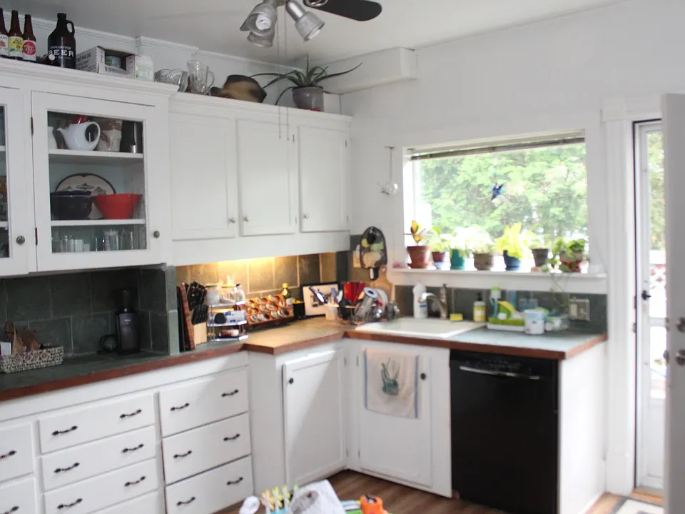 Kitchen with dishwasher and deck