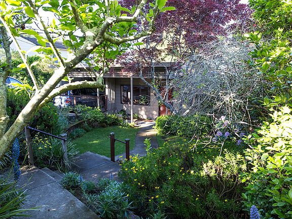 Entry stairs and mature trees