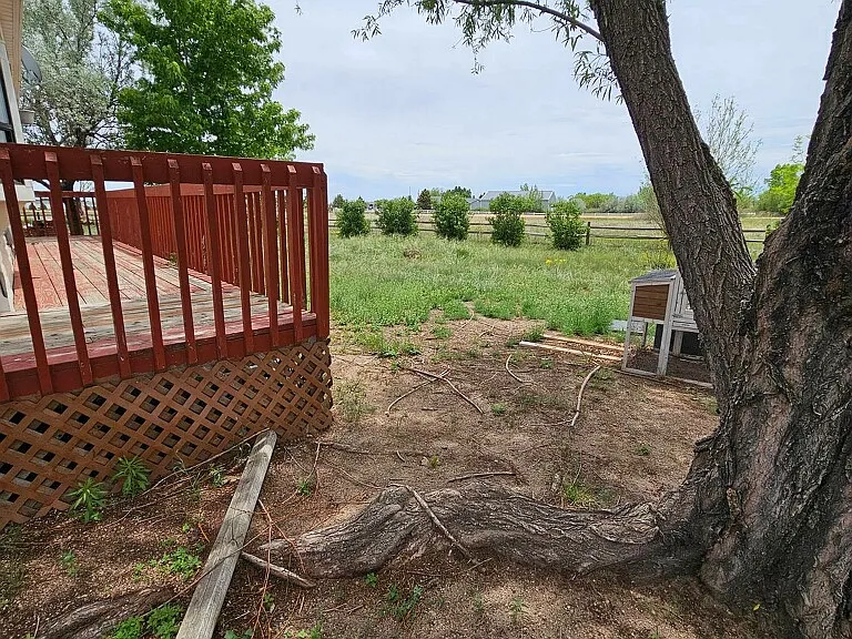 6045 Broken Spoke Dr — Photo 4