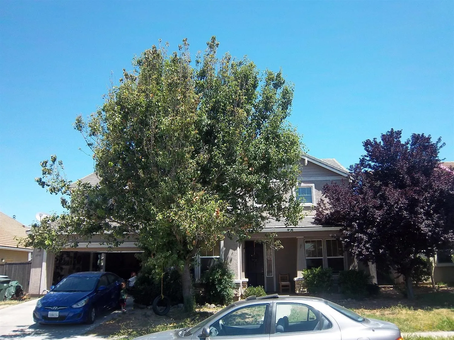 3599 Skeena Ave photo 1