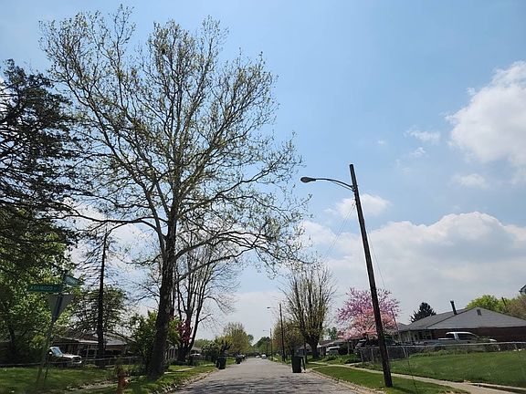 4th image of 493 Ashwood Rd