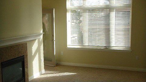 Sunny Living Space With Fireplace